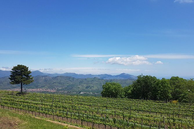 Etna Classic & Winery (day trip) - Why This Tour Is a Great Choice