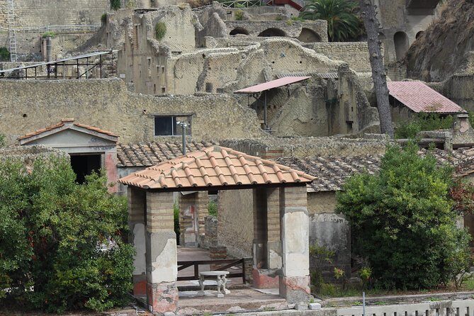 Excavations of Herculaneum. Tour guide and skip-the-line ticket - Why This Tour Offers Good Value