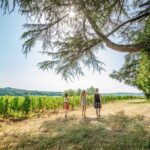 Exceptional visit and tasting of 7 wines - Who Will Love This Tour?