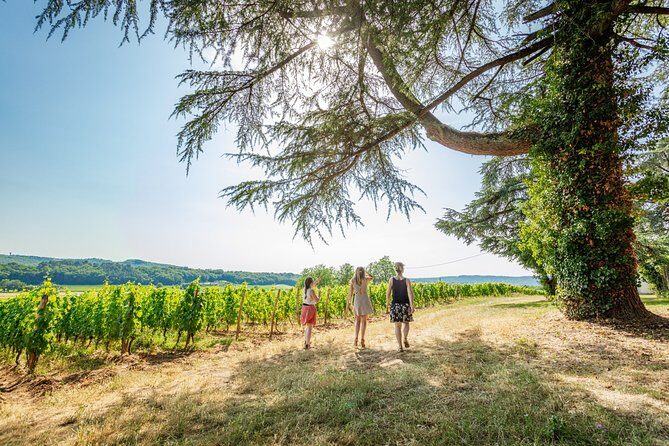 Exceptional visit and tasting of 7 wines - Who Will Love This Tour?