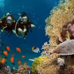 Exciteful Scuba Diving Experience in Antalya - Final Thoughts
