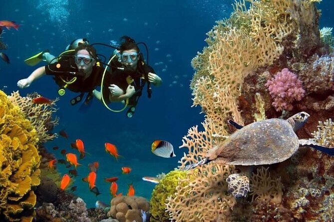 Exciteful Scuba Diving Experience in Antalya - Final Thoughts