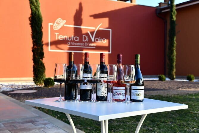 Exclusive Bolgheri from Florence: The Land of the Super Tuscan - Price and Value