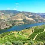 Exclusive Douro Valley: Visit 3 Wineries, 9 Wine Tastings & Lunch - Who Is This Tour Perfect For?