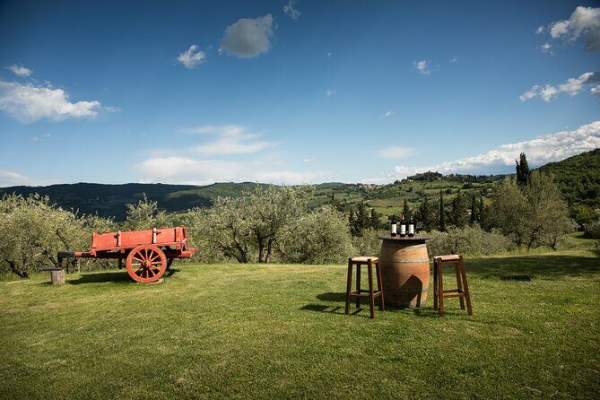 Exclusive Lunch Tour and Wine tasting at a Chianti Classic Winery - Who Will Love This Tour?