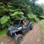 Exclusive Private Buggy Adventure: Forest and Mountains - Why This Tour Is a Great Choice