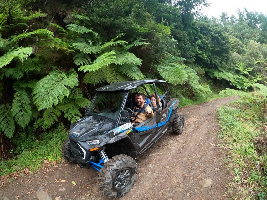 Exclusive Private Buggy Adventure: Forest and Mountains - Why This Tour Is a Great Choice
