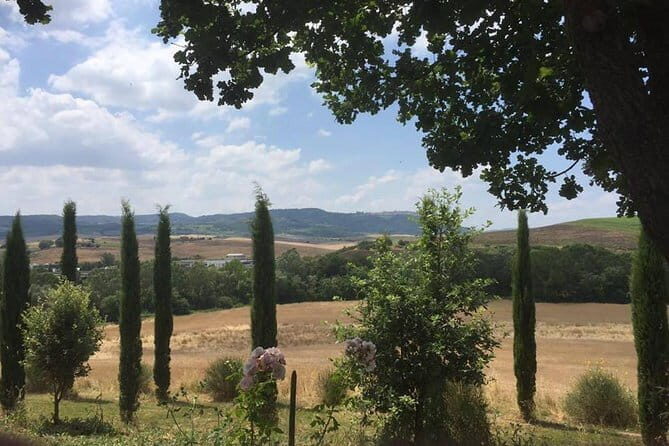Exclusive Private Tuscany Wine Tour & Food Pairing Session - Practical Details & Tips