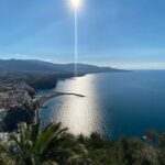 Exclusive tour in Sorrento and Pompeii with transport and tickets - The Sum Up