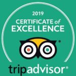Exhilarating Rib experience - Dingle sea safari - Analyzing the Value