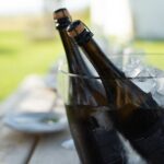 Experience Wine Break in Portugal - What Travelers Can Expect