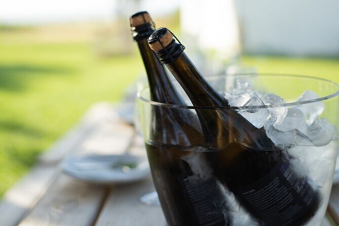Experience Wine Break in Portugal - What Travelers Can Expect