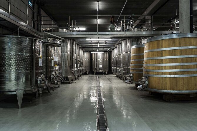 EXPLORATION - Visit of the estate, the cellars & tasting - A Closer Look at the Tour