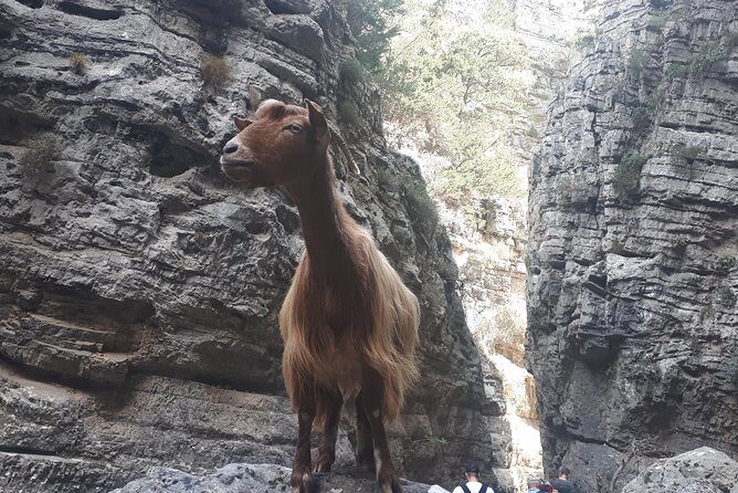 Explore IMBROS GORGE. - Final Thoughts