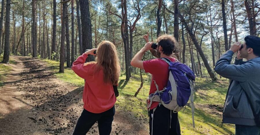 Explore Sobieszewo Island: Nature Walk & Wildlife Tour - A Detailed Look at the Sobieszewo Island Wildlife & Nature Walk