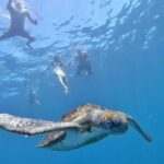 Explore Tenerife with the Snorkel Kit - Who Will Love This Tour?
