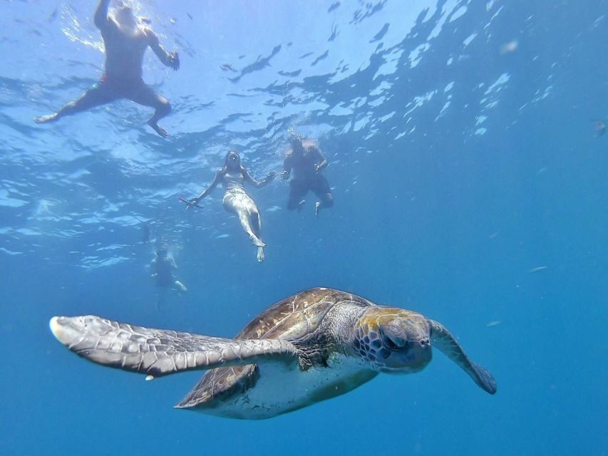 Explore Tenerife with the Snorkel Kit - Who Will Love This Tour?