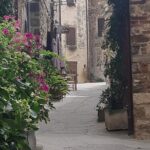 Explore the Best Highlights of Rome by Golf Car - Private Tour - Why This Tour Offers Great Value