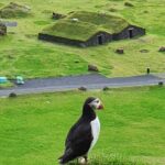 Eyjascooter volcano tour in Westman Island - Who Will Love This Tour?