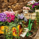 Family Friendly Florence Private City Tour - Practical Details and Tips
