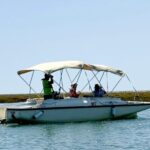 Faro: Ria Formosa Boat Tour by Eco-Friendly Solar Boat - What to Expect on the Tour
