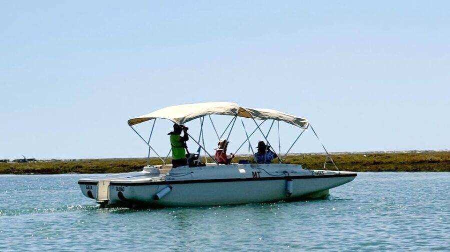 Faro: Ria Formosa Boat Tour by Eco-Friendly Solar Boat - What to Expect on the Tour