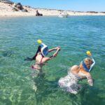 Faro - Ria Formosa tour with visit to 2 islands (Deserta, Farol) 3.5 hours - Practical Details and Value