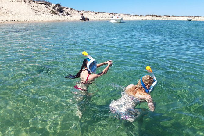 Faro - Ria Formosa tour with visit to 2 islands (Deserta, Farol) 3.5 hours - Practical Details and Value