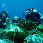 Fethiye Scuba Diving Experience By A Local Expert - Who Is This Tour Best Suited For?