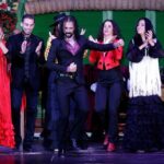 Flamenco Show and Tapas Dinner - Authenticity and Audience Experience