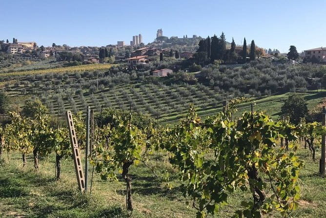 Florence Day Trip to Volterra and San Gimignano - The Experience in Practice