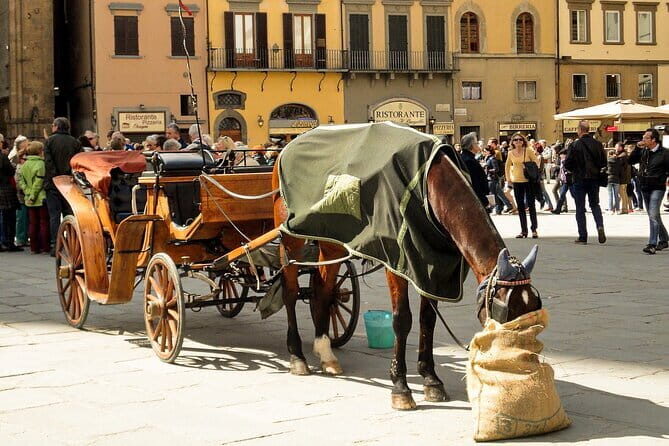 Florence Private WALKING TOUR - Who Should Book This Tour?