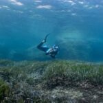 Formentera: 2-hour snorkel with marine biologist by boat - FAQs