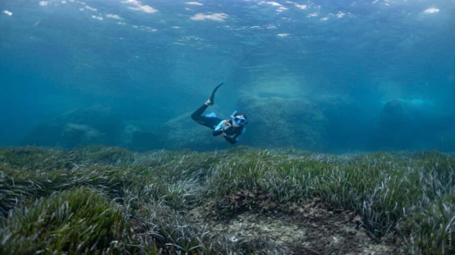 Formentera: 2-hour snorkel with marine biologist by boat - FAQs