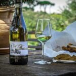 Frascati Wine Tasting Tour: The Flavors of the Roman Countryside - Exploring Frascati’s Historic Heart