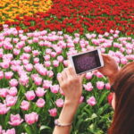 From Amsterdam: Keukenhof Tulips, Windmills & Volendam - What’s included and what’s not