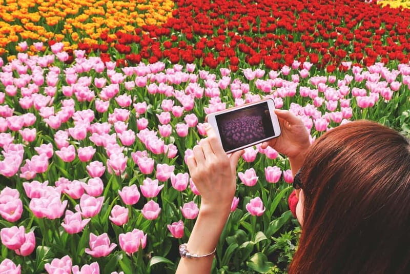 From Amsterdam: Keukenhof Tulips, Windmills & Volendam - What’s included and what’s not
