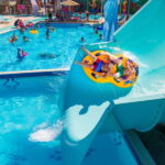 From Antalya/Kemer: Dolusu Park (Medium Package) - The Location and How to Get There
