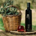From Athens: Olive Oil Tasting, Olive Grove & Wine Experience - Why This Tour Works for Different Travelers