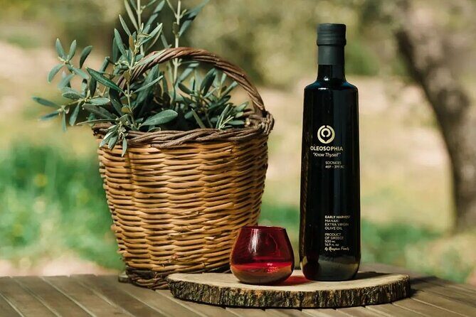 From Athens: Olive Oil Tasting, Olive Grove & Wine Experience - Why This Tour Works for Different Travelers