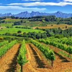 From Barcelona: El Penedès Hike & Wines - In-Depth Look at the Tour