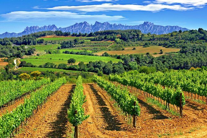 From Barcelona: El Penedès Hike & Wines - In-Depth Look at the Tour