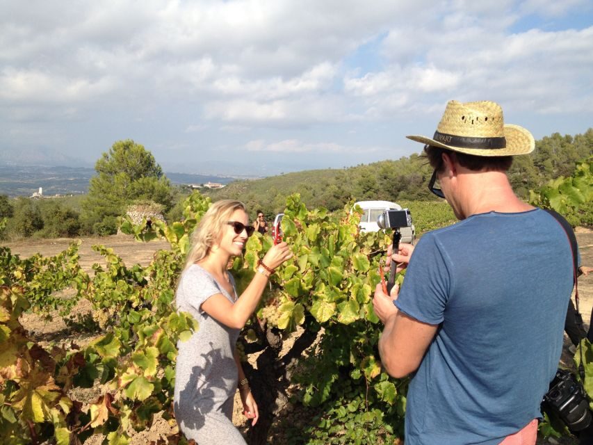From Barcelona: Montserrat Lunch & Wine Tasting in Vineyard - Exploring Montserrat’s Monastery and Cultural Gems