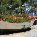 From Barcelona: Private Costa Brava Guided Tour - Transportation and Group Size