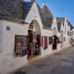 From Bari: Visit Polignano a Mare and Alberobello - Transportation and Group Size