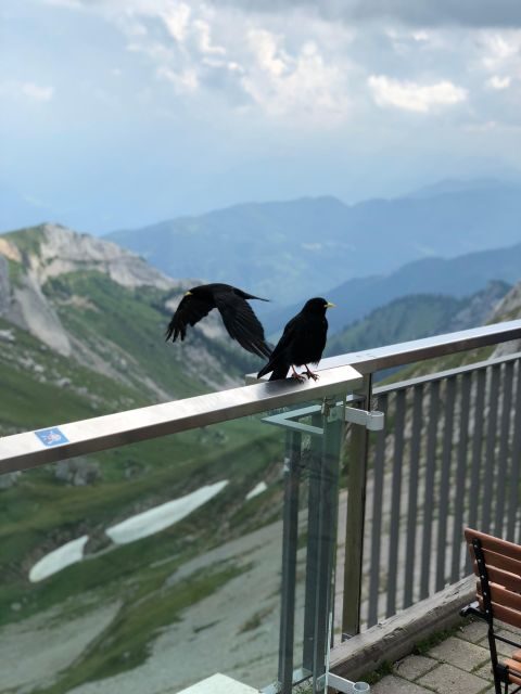 From Basel: Mt. Pilatus and Lake Lucerne Private Tour - The Logistics: What’s Included and What to Expect