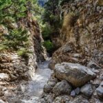 From Chania: Imbros Gorge and Sfakia Experience Hike & Swim - Authentic Review Insights: What Travelers Say