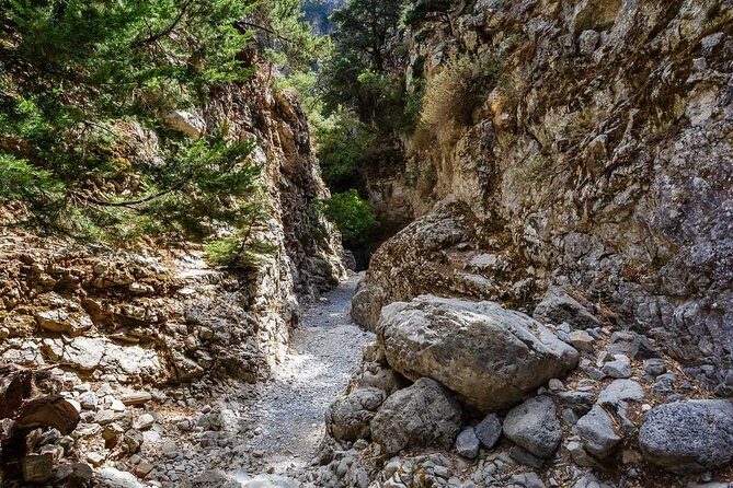 From Chania: Imbros Gorge and Sfakia Experience Hike & Swim - Authentic Review Insights: What Travelers Say