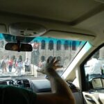 From Civitavecchia port with Vatican Museums & Tour Guide - The Bottom Line