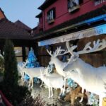 From Colmar: Christmas Markets Across 3 Borders - What Youll Love